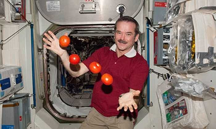 Hoa quả, đồ ăn bay lơ lửng trong khoang tàu vũ trụ do môi trường không trọng lực