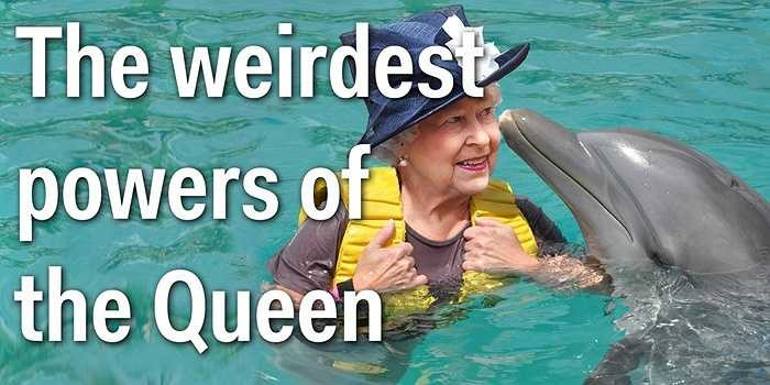 Lớn hơn nữa, tại tất cả các vùng biển tại Vương quốc Anh, Nữ hoàng Elizabeth là chủ nhân của loài cá heo đang sinh sống