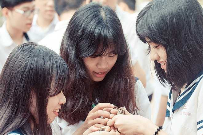 Theo đại diện nhà trường, việc phóng sinh, ngoài những ý nghĩa to lớn theo quan điểm của nhà Phật, còn mang ý nguyện của thầy cô gửi đến học trò, mong bạn trẻ hướng tới cái thiện ở đời, làm những điều tốt hơn cho chính mình và người xung quanh.