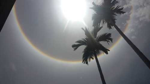 quầng mặt trời