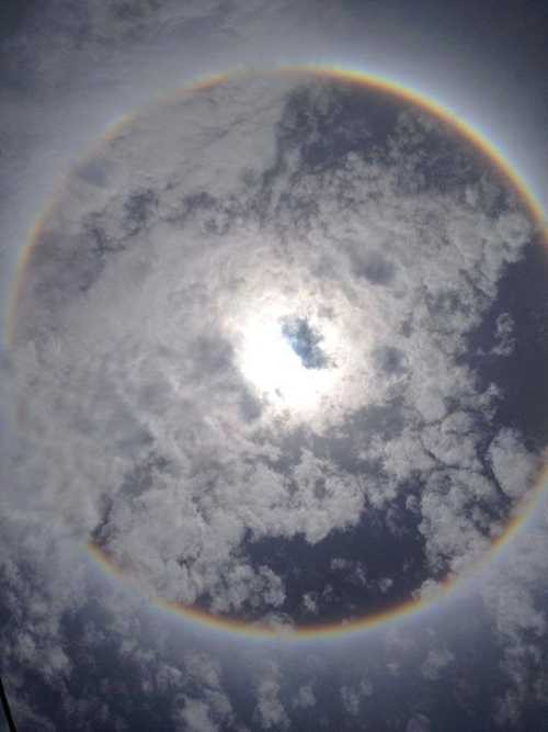 quầng mặt trời