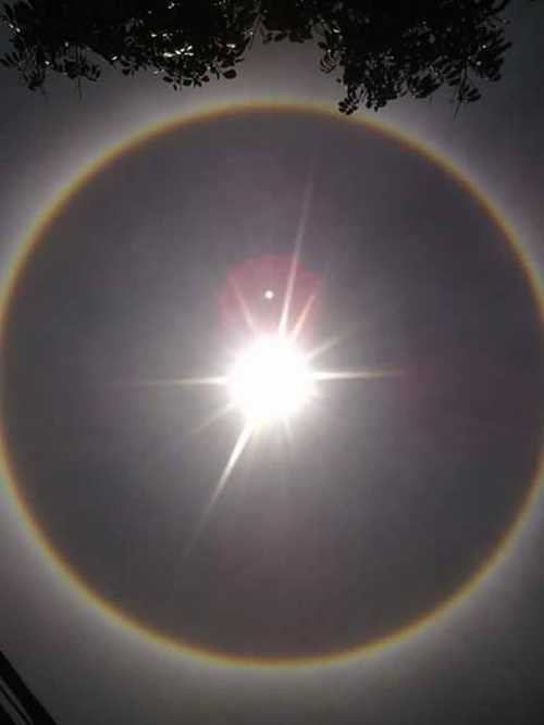 quầng mặt trời