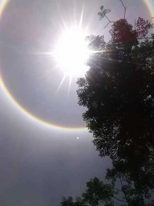 quầng mặt trời