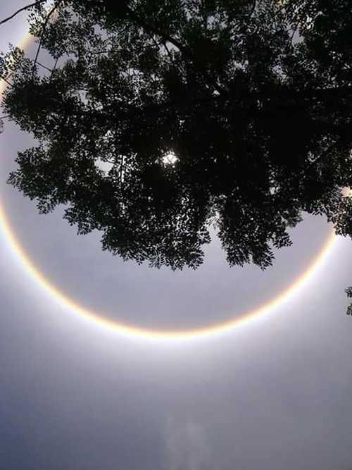quầng mặt trời