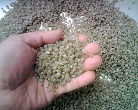 Vụ gạo nhựa giả: Giá cân hạt nhựa gấp đôi cân gạo