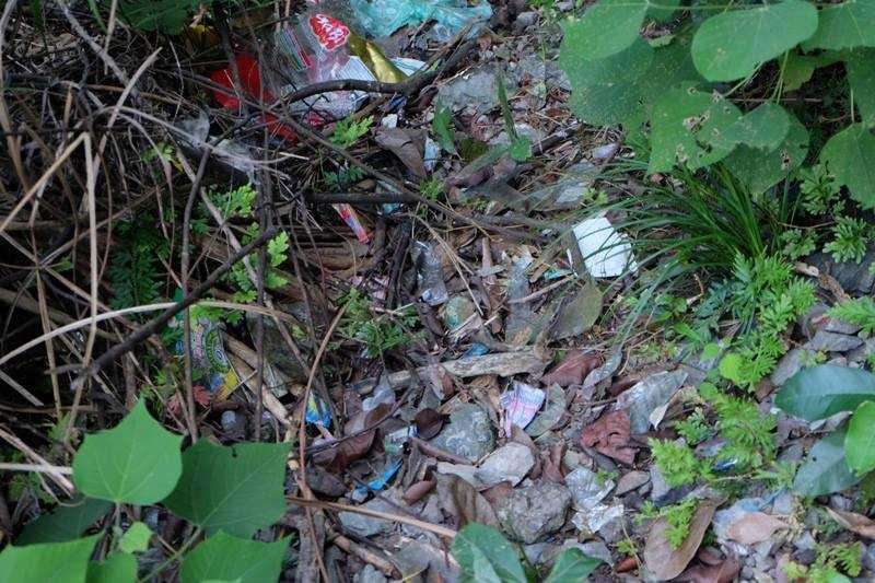 Cả huyện giật mình với thông tin 'học sinh lên núi để sex'