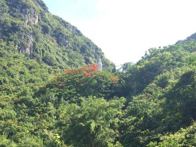 Cả huyện giật mình với thông tin 'học sinh lên núi để sex'