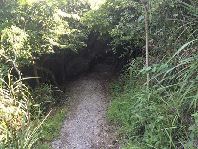 Con đường lên núi. Ảnh: VietNamNet.