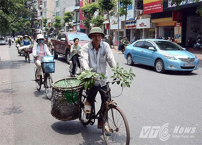 Người đàn ông này lại nghĩ ra cách che nắng rất đơn giản mà lại vô cùng hiệu quả.