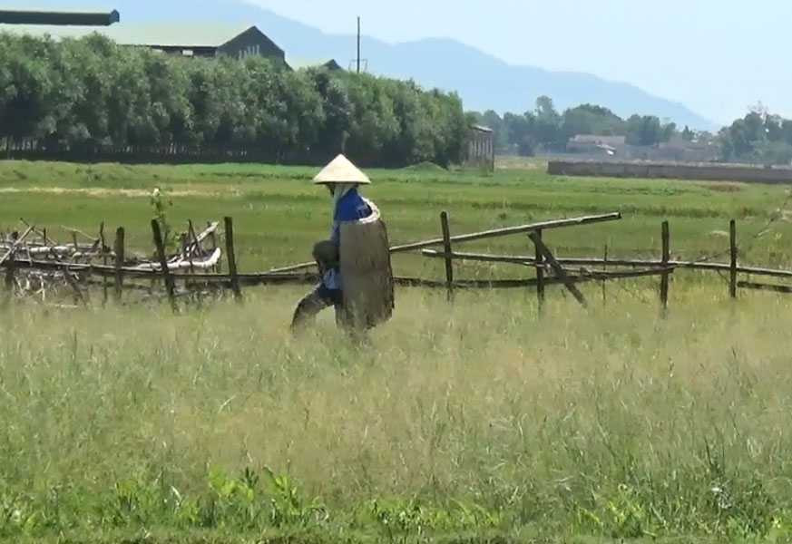 Cả nước quay cuồng chống đỡ nắng nóng kỷ lục