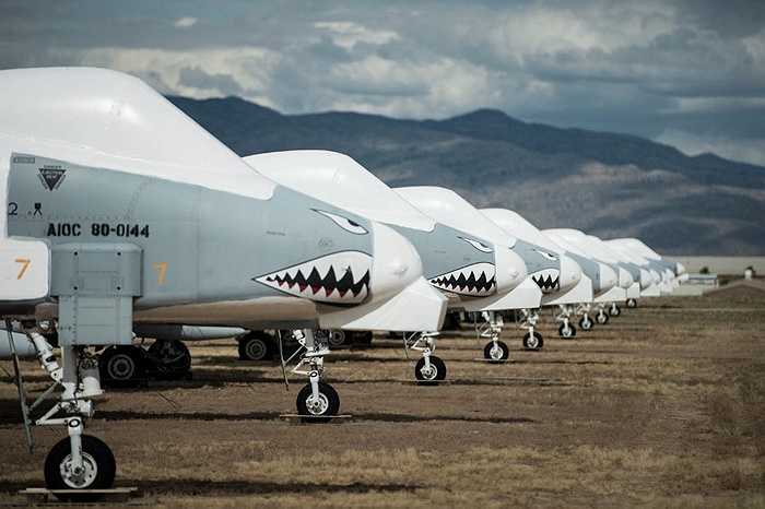 Dàn chiến cơ A-10 Thunderbolt II đã nghỉ hưu