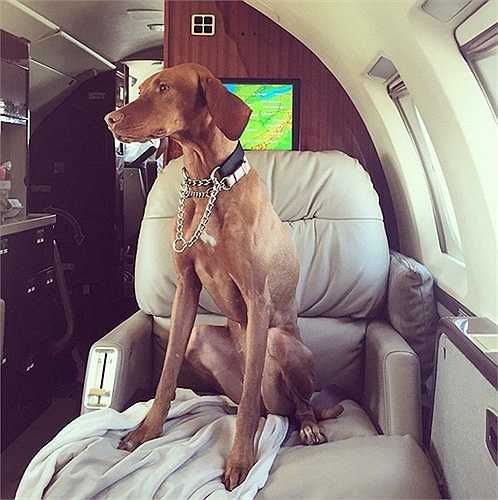 Tài khoản 'Rich Kids of Instagram' đăng tải những bức ảnh sau những bữa tiệc ăn chơi mùa xuân xa xỉ của các 'ông hoàng, bà chúa' Instagram trên thế giới.