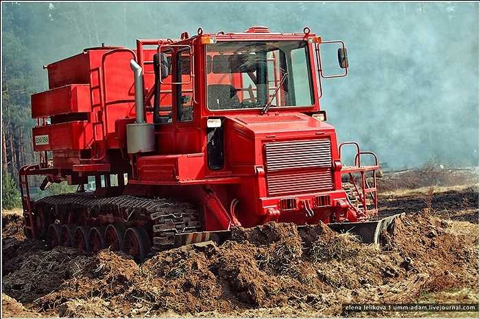 Cơ quan chức năng của Nga thông báo rằng hè năm nay nguy cơ cháy rừng có thể sớm hơn bởi hiện tượng El Nino đã sớm hoành hành ở châu Á và châu Phi.