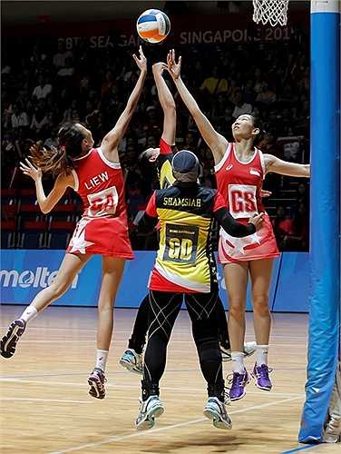  Bóng lưới là môn thể thao có rất nhiều điểm tương đồng với bóng rổ