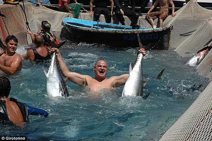 Lễ hội săn cá ngừ đặc biệt này có tên Girotonno