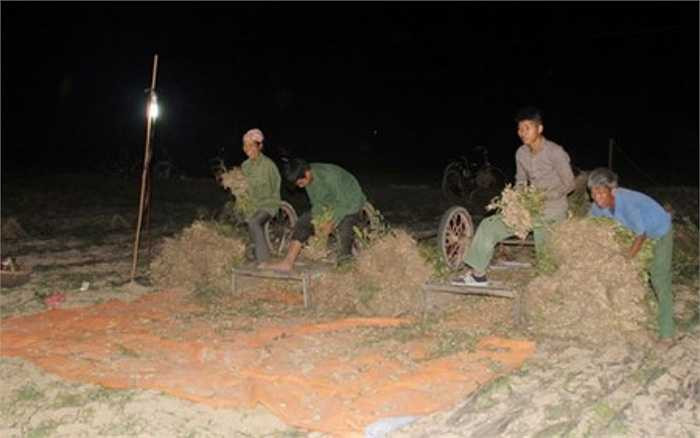 Nắng nóng khiến sinh hoạt của người nông dân bị đảo lộn, họ phải làm đồng từ tờ mờ sáng để 'trốn' lúc mặt trời lên cao - Nguồn ảnh: 