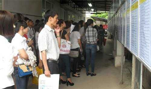 cử nhân thất nghiệp