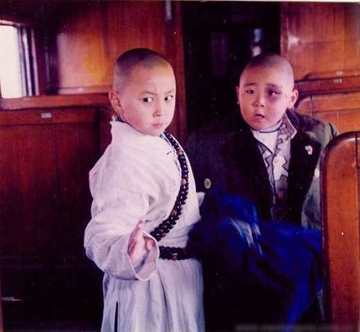 Tại Đại hội Công phu Thiếu Lâm Quốc tế, Thích Tiểu Long khiến công chúng thán phục trước màn biểu diễn võ thuật xuất sắc khi mới 4 tuổi. Đây cũng là lúc Thích Tiểu Long chính thức tham gia vào làng giải trí Cbiz, gắn liền với tên tuổi sao nhí Hác Thiệu Văn.