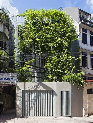 Không chỉ đơn thuần sử dụng các vật liệu để thiết kế lam chống nắng, các kiến trúc sư còn tạo thêm cảnh quan cho hệ lam bên ngoài ngôi nhà bằng những giàn dây leo, cây xanh mướt mắt.