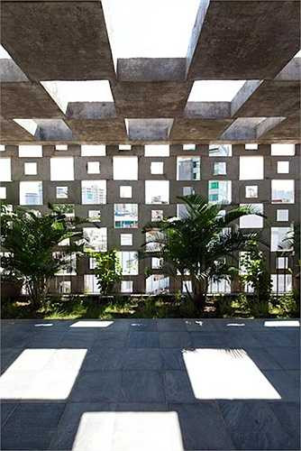 Hoa bê tông như những 'mảng' trang trí khá mới mẻ, đẹp mắt trong không gian sống.