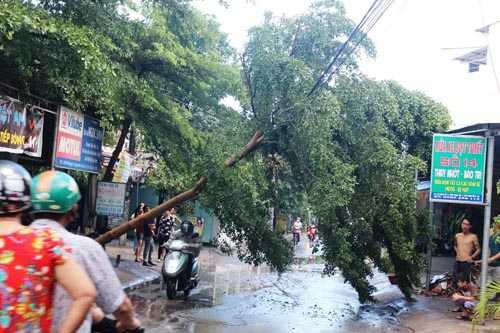 Lốc xoáy kinh hoàng ở TP.HCM làm bay hàng chục nhà dân