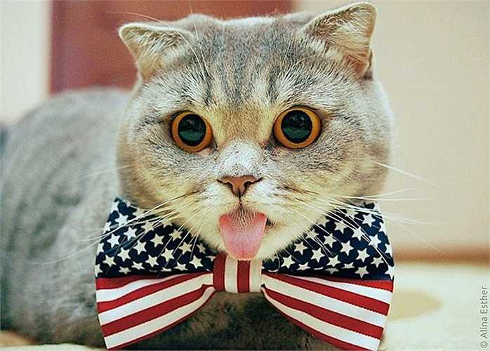 Điểm chung là rất thích lè lưỡi