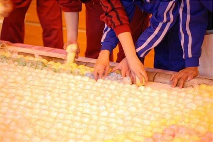 Bức tranh gạo lớn nhất thế giới. Kỷ lục này được thực hiện bởi một tổ chức ở Trung Quốc. Diện tích của bức tranh gạo này lên tới gần 1.800m2 