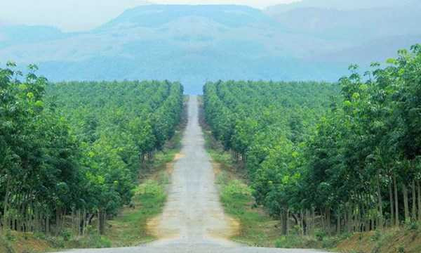 Những khối tài sản khổng lồ làm nên thương hiệu Bầu Đức trên đất Lào