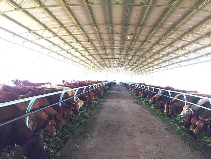 Những khối tài sản khổng lồ làm nên thương hiệu Bầu Đức trên đất Lào