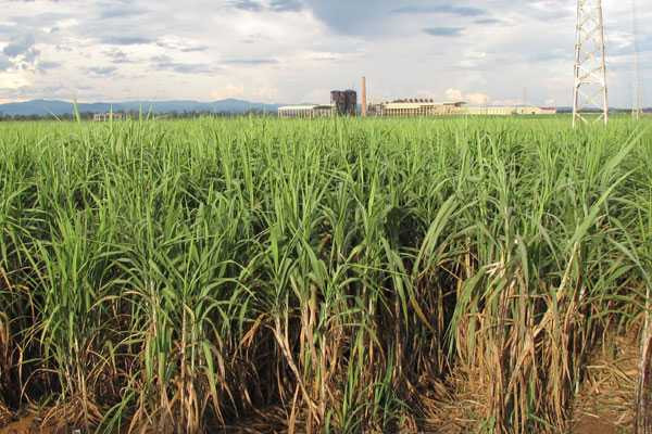 Những khối tài sản khổng lồ làm nên thương hiệu Bầu Đức trên đất Lào