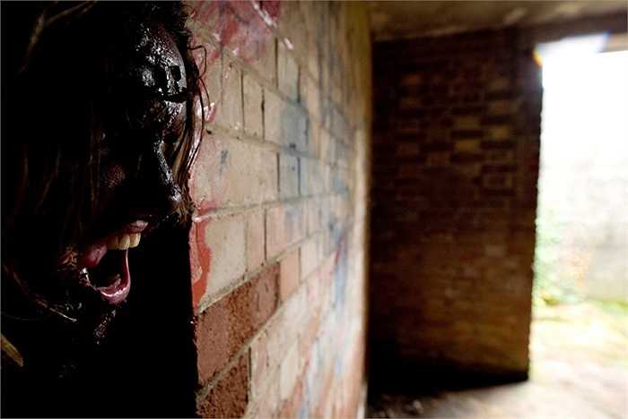 Xác sống trong các khu nhà ở Saffron Walden, Anh