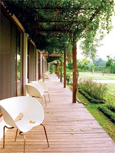 Nếu mái hiên tô điểm bằng các loại dây leo sẽ rất tốt, làm tăng hiệu quả chống nắng cho tường nhà hướng Tây, đồng thời, tạo cảnh quan đẹp mắt.