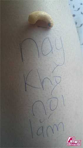 'ĐIỀU này khó nói lắm' - Trò chơi thú vị này cho thấy sự phong phú của ngôn ngữ Tiếng Việt.