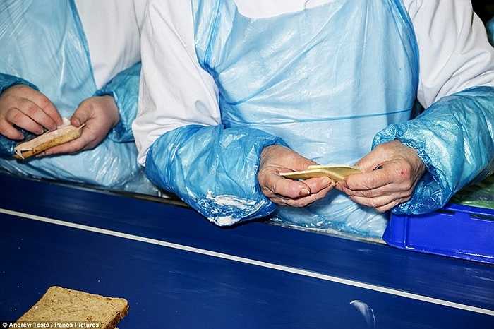 Tay không cầm thực phẩm, thậm chí trên tay có cả vết thương. 