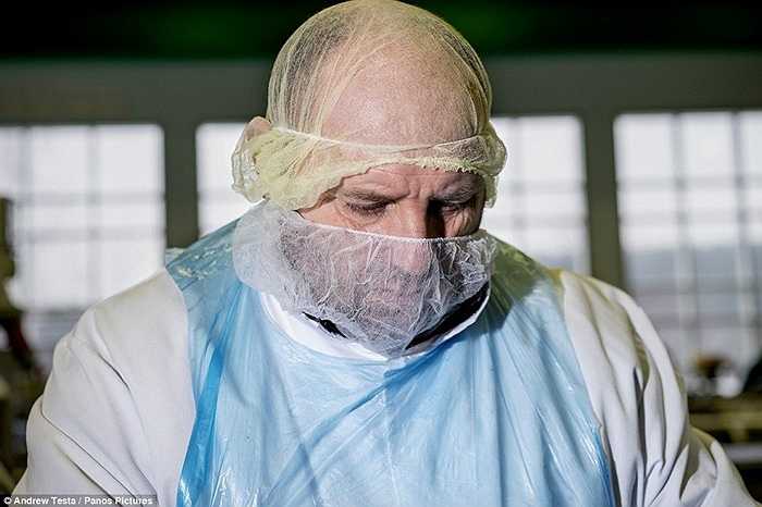 Sản phẩm của nhà máy này được phân phối tới nhiều siêu thị, cửa hàng ở Anh. Mỗi năm sản xuất hàng chục triệu chiếc bánh mỳ sandwich