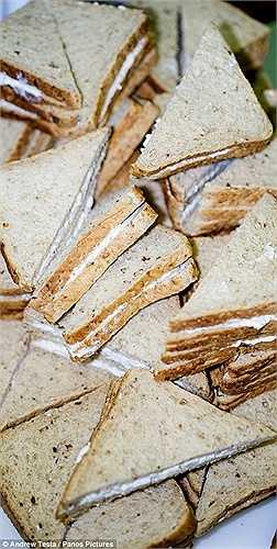 Giám đốc nhân sự công ty sở hữu nhà máy cho hay, công ty đã cố gắng tuyển dụng công nhân ở Anh nhưng không được vì không phải ai cũng muốn làm công việc này