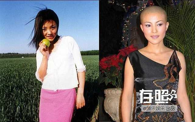 Năm 2004, bạn trai Tạ Vũ Hân - Trần Tuấn Lâm - bị cảnh sát bắt giữ. Đến lúc này, cảnh sát mới phát hiện, tên này là tội phạm lẩn trốn 20 năm. Vụ bê bối khiến sự nghiệp cô lao đao. Năm 2006, không chịu nổi áp lực dư luận, cô rút lui khỏi showbiz và thậm chí còn cạo trọc đầu.