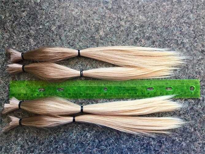 4 lọn tóc dài 25,4cm được Christian quyên góp cho tổ chức Trẻ em bị rụng tóc (Children With Hair Loss).