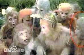 Khỉ con trở thành 'VĐV Olympic vàng' của bơi lội Trung Quốc: Những cảnh quay bầy khỉ ở Hoa Quả Sơn nô đùa, nhảy nhót ở những tập đầu của Tây Du Ký có sự xuất hiện của một VĐV Olympic nhảy cầu trong tương lai. Đó là cậu bé Hùng Nghê (khoanh đỏ), thành viên nhỏ nhất trong số diễn viên đóng vai lũ khỉ và là cậu nhỏ nghịch ngợm nhất đoàn. 