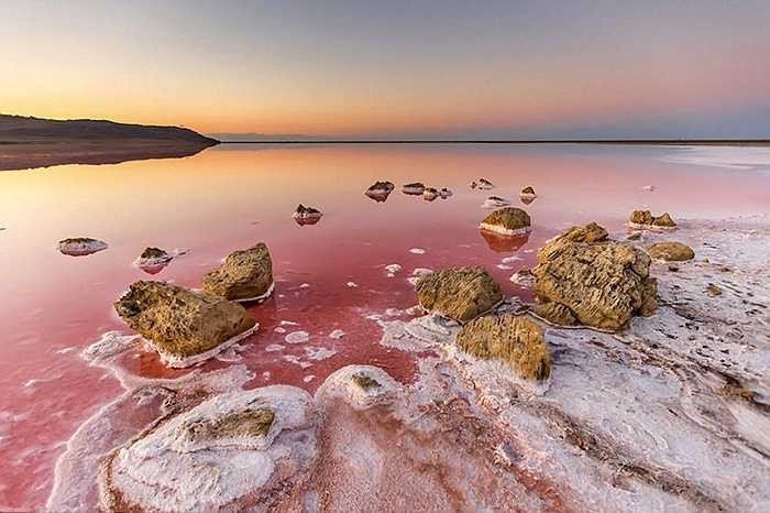 Salar de Uyuni khi bình thường có màu trắng của muối nhưng có khi biến đổi thành màu đỏ 