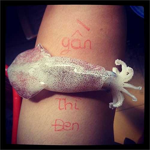 Câu đố hình 'Gần MỰC thì đen' với một con mực tươi trên tay.