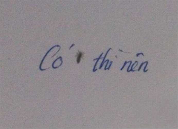 Các cụ có câu 'Có CHÍ thì nên', và trong câu đố này thì CHÍ trông có vẻ hơi đáng sợ (con chấy).