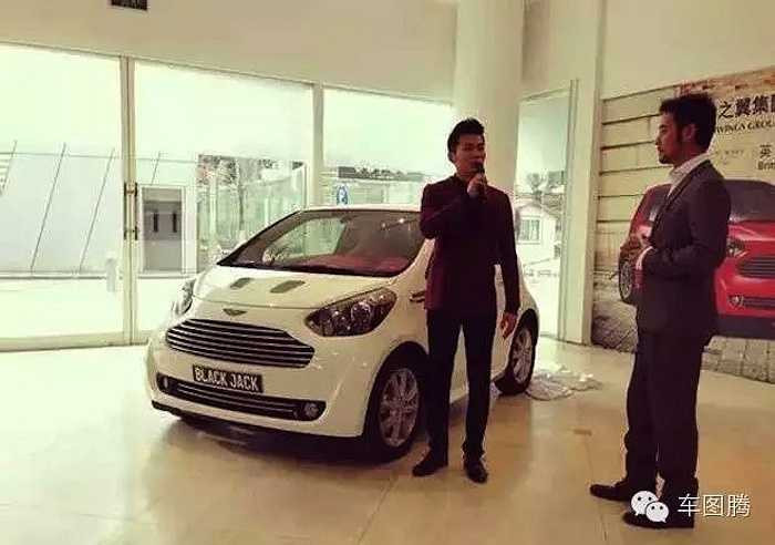 Đầu năm 2013, Lý Thần trở thành người Trung Quốc đầu tiên sở hữu chiếc Aston Martin Cygnet (Tiểu Thiên Nga). 