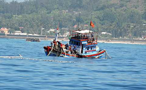 Ngư dân, Lý Sơn, 'phất lên', vươn khơi, khai thác, rau câu, chân vịt, Hoàng Sa