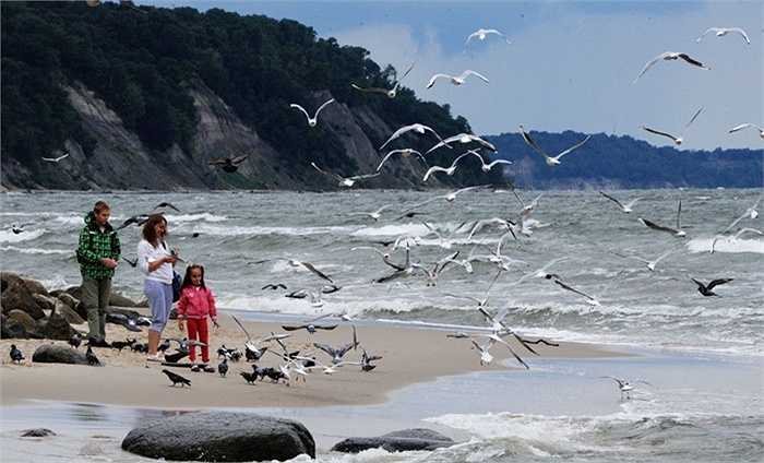 Người dân nghỉ ngơi trên bãi biển Baltik gần thành phố Svetlo tỉnh Kaliningrad, Nga
