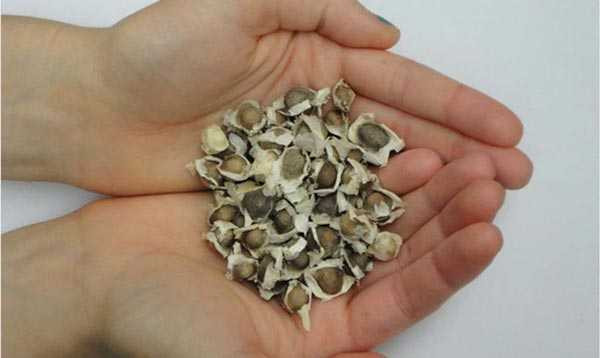 Phát hiện bí quyết đơn giản biến nước bẩn thành uống được