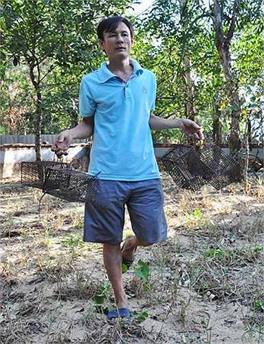 Ông Thu chia sẻ, để tránh kỳ nhông thoát ra ngoài cần làm móng tường của trại nuôi sâu hơn 1m. Có thể bố trí nuôi trên bãi cát hoang, các khu đất trồng có bụi cây vì loại này thích bóng mát. Cây trứng các mọc rất nhanh, chịu được nóng hạn, tán rộng và quả của chúng là món khoái khẩu của kỳ nhông.