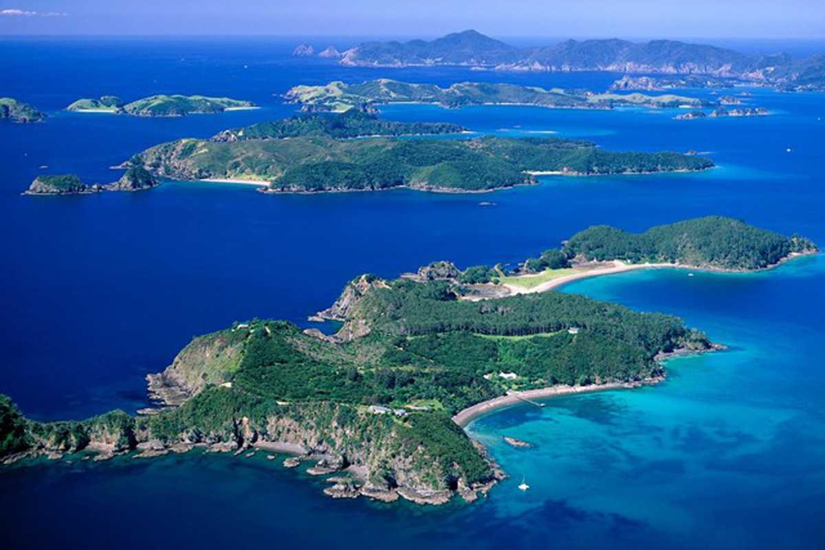 đại gia Trung Quốc