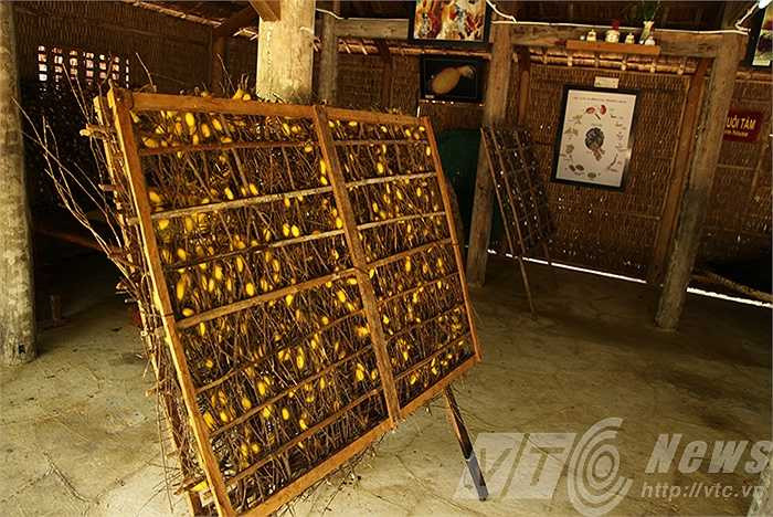 Nơi những con tằm nhả tơ