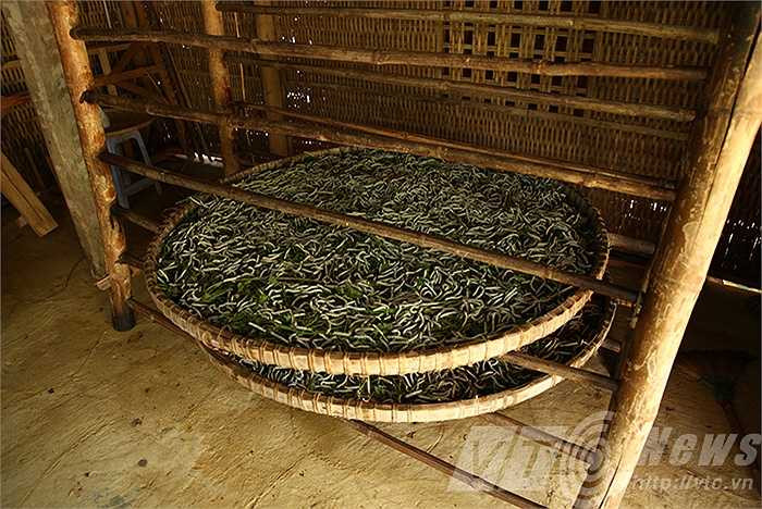 'Một nong tằm là năm nong kén...'